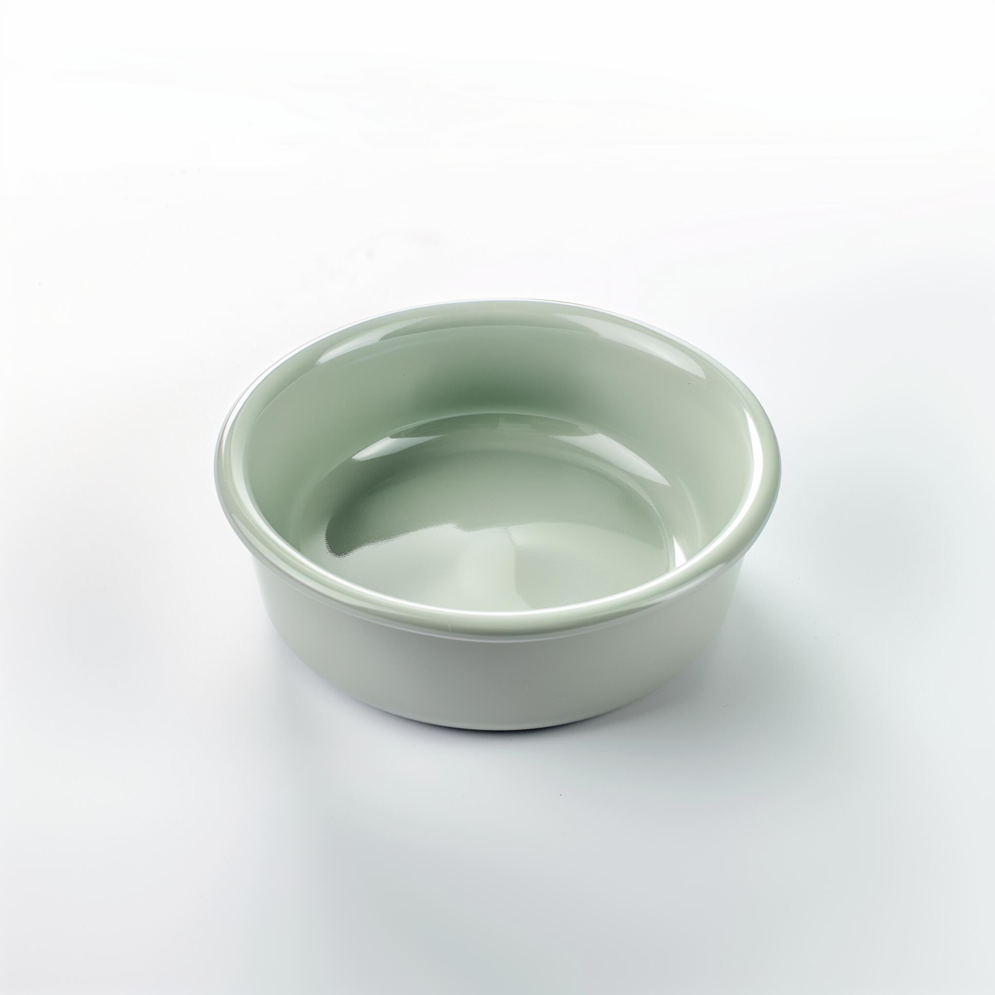 Pet Bowl